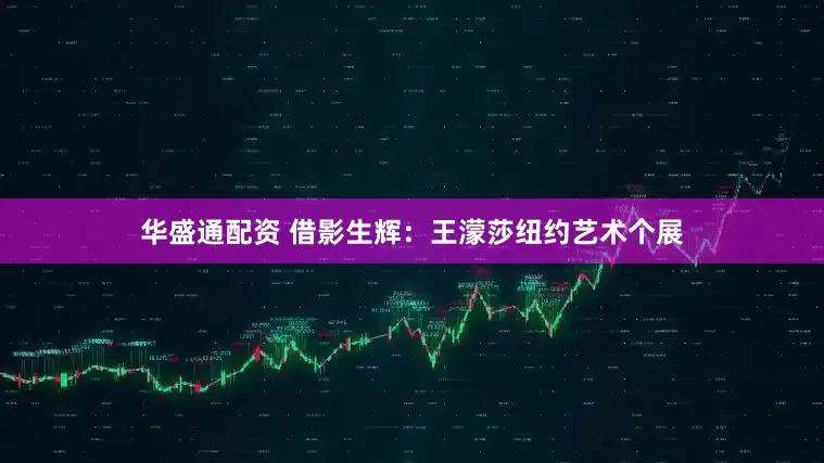 华盛通配资 借影生辉：王濛莎纽约艺术个展