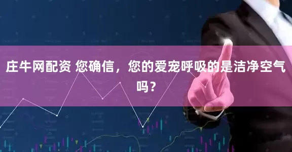 庄牛网配资 您确信，您的爱宠呼吸的是洁净空气吗？