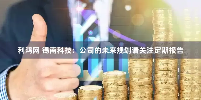 利鸿网 锡南科技：公司的未来规划请关注定期报告